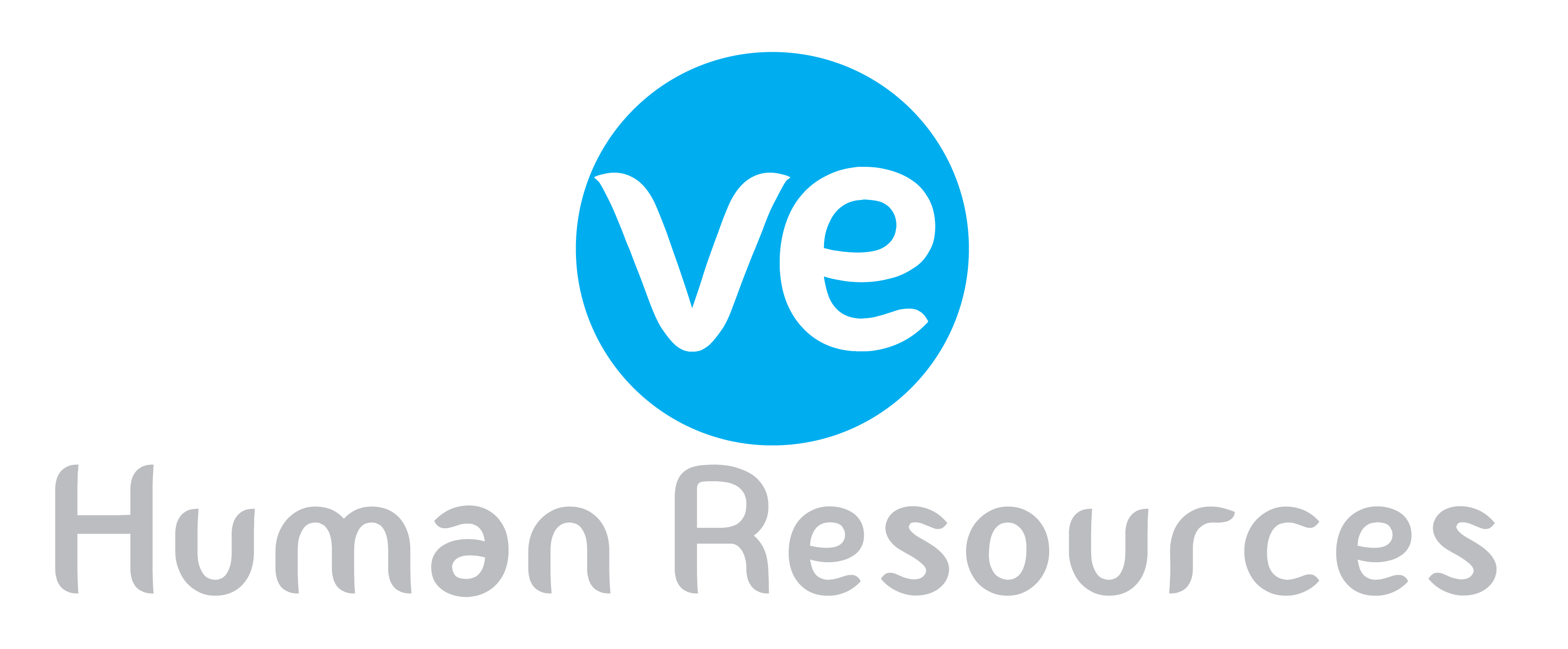 Delverve HR